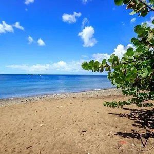 Créole Pointe-Noire